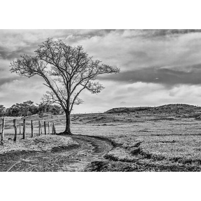 Cachoeira Drumond - Caminho