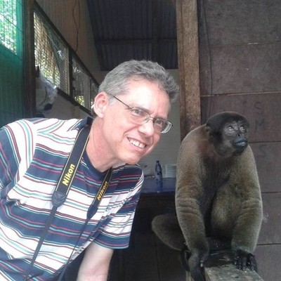 macaco