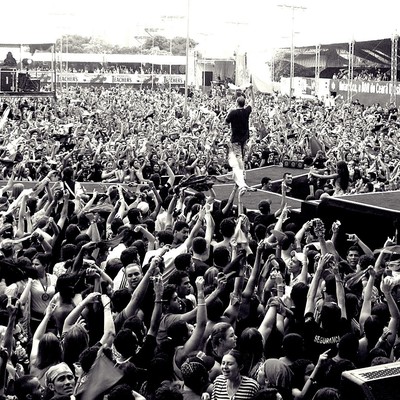 multidao show