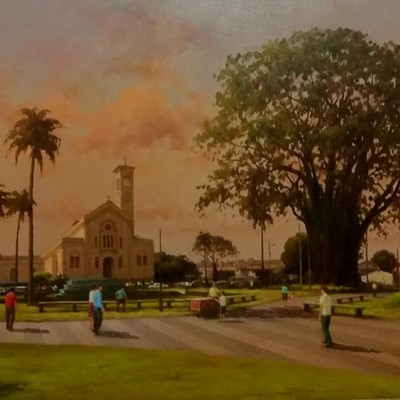 Árvore barriguda - Catedral São José