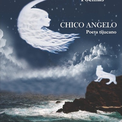 Capa livro - Sonho e lágrimas - poemas (2013)